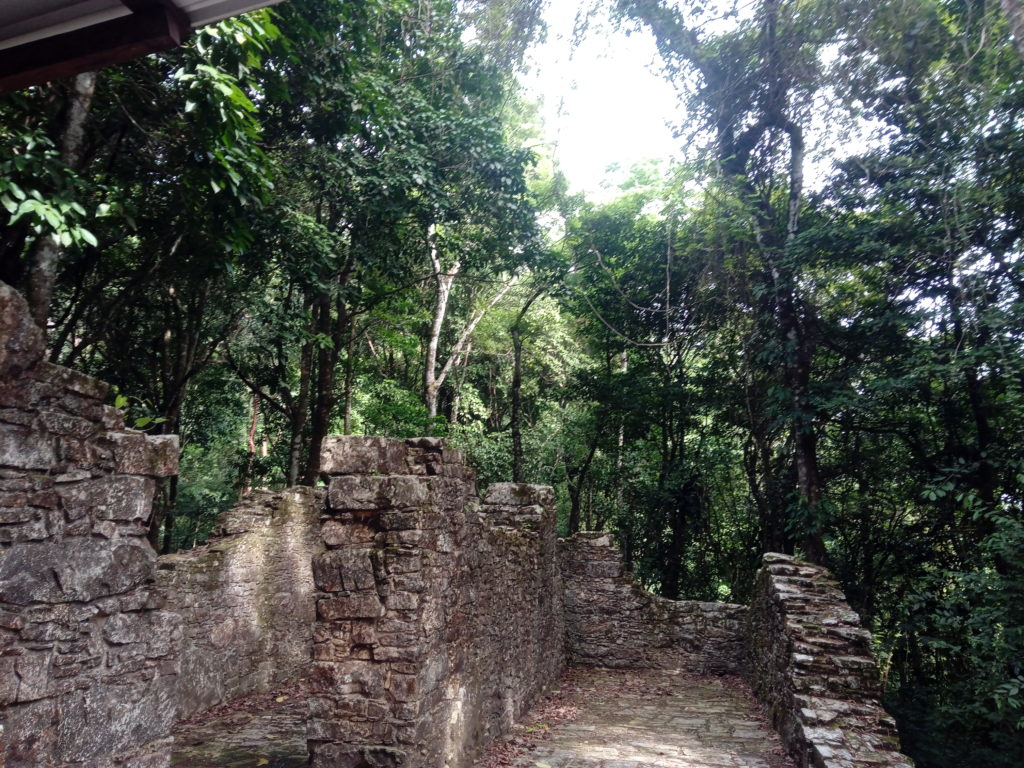 jungle-site-archéologique-Palenque
