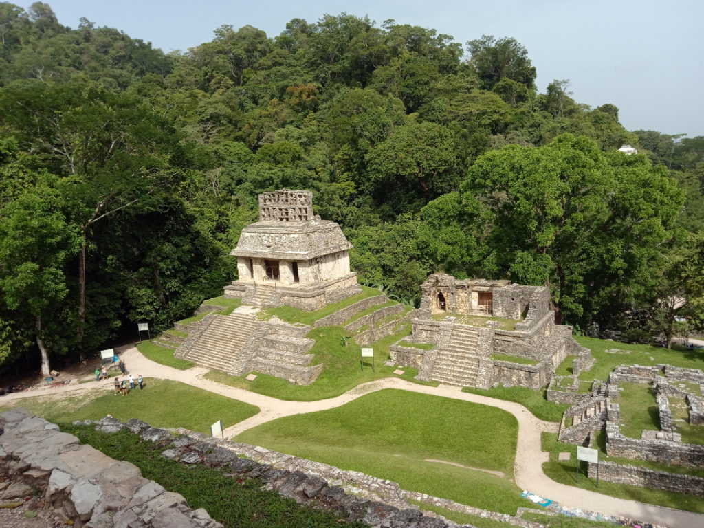 Palenque-vue-du-site-archéologique-pyramide