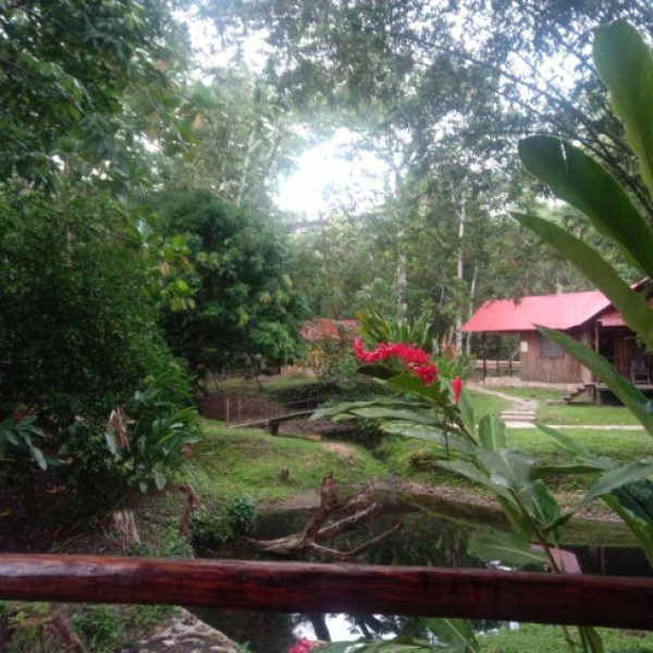 Hotel de Palenque hôtel-palenque