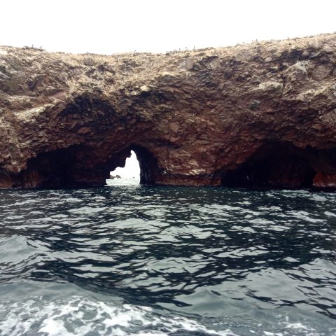 IMG_20180928_091402 iles-ballestas-paracas-perou