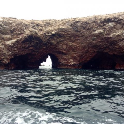 IMG_20180928_091402 iles-ballestas-paracas-perou