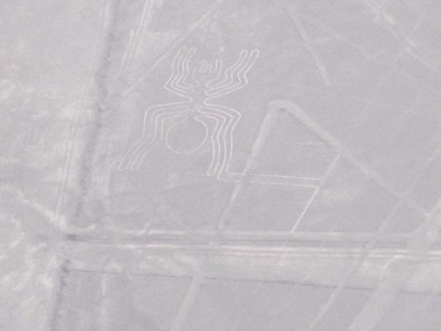 IMG_20181006_075036 lignes-nazca-pérou