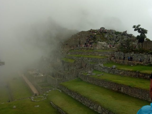 IMG_20181025_091356 IMG_20181025_091356