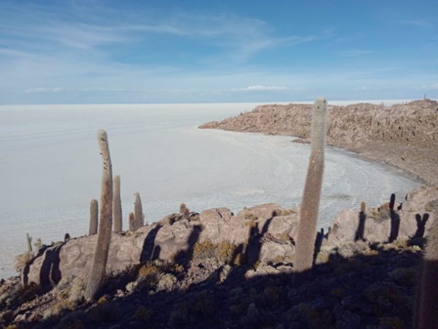 IMG_20181128_170607 ile-coralienne-desert-de-sel-uyuni