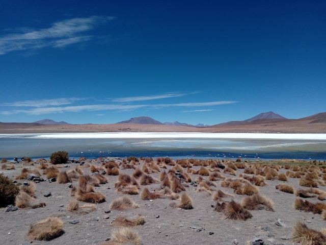 IMG_20181129_111640 lagune-desert-bolivie