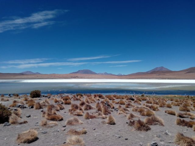 IMG_20181129_111640 lagune-desert-bolivie