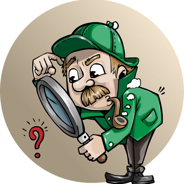 detective-1424831_640 chercher-veiller-surveiller