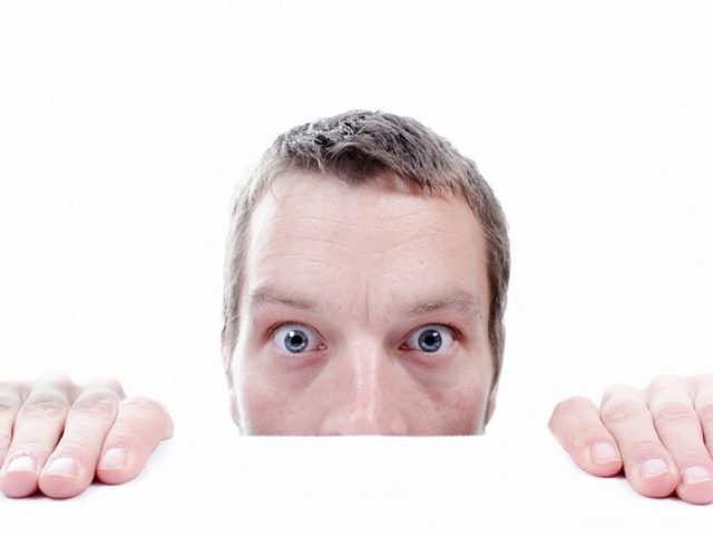 people-314481_640 chercher-surveiller